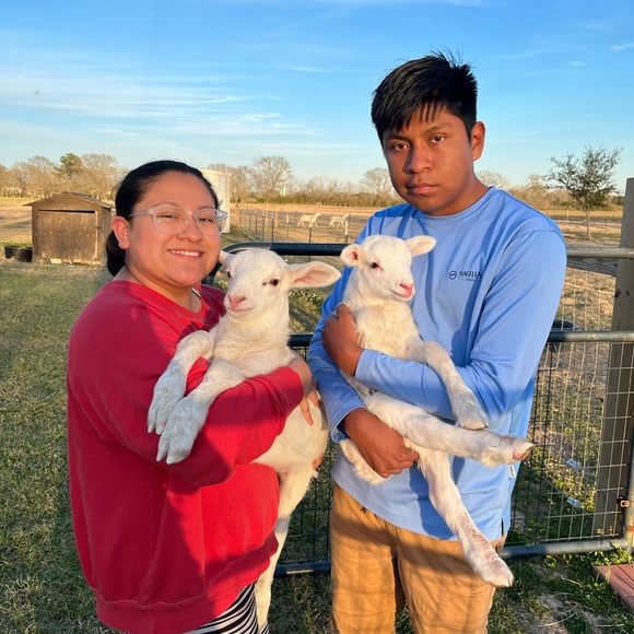 Meet the poshmark - Picture 4 of 5